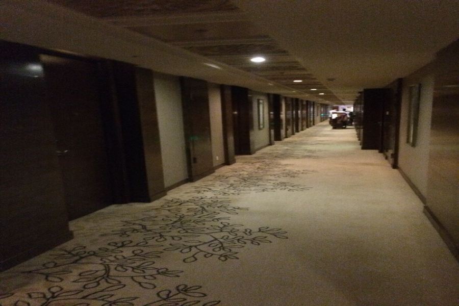 Luxury Blue Horizon Hotel Τσονγκτσίνγκ Εξωτερικό φωτογραφία